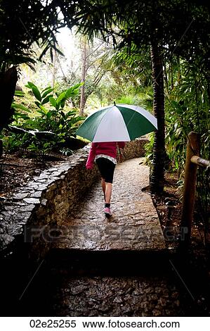 Mountain Pine Ridge Reserve, Girl Walking Down Path View Large Photo Image Stock Photography - Mountain Pine Ridge Reserve, Girl Walking Down Path. Fotosearch