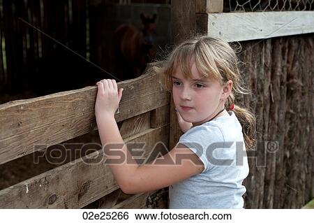 Stock Photograph - Mountain Pine Ridge Reserve, Horse Stables. Fotosearch