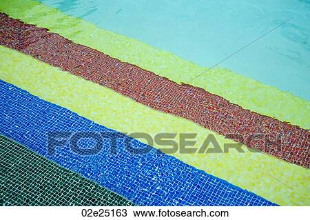 Mountain Pine Ridge Reserve, Pool Tiles View Large Photo Image Stock Image - Mountain Pine Ridge Reserve, Pool Tiles. Fotosearch