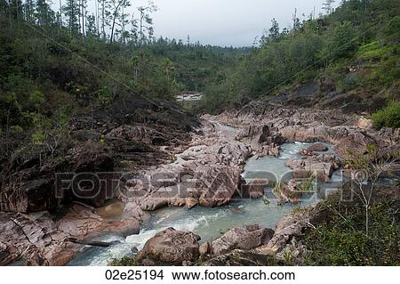 Mountain Pine Ridge Reserve, Rushing Water View Large Photo Image Picture - Mountain Pine Ridge Reserve, Rushing Water. Fotosearch