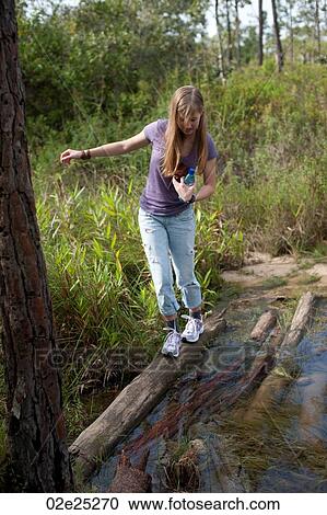 Mountain Pine Ridge Reserve, View Large Photo Image Stock Image - Mountain Pine Ridge Reserve,. Fotosearch