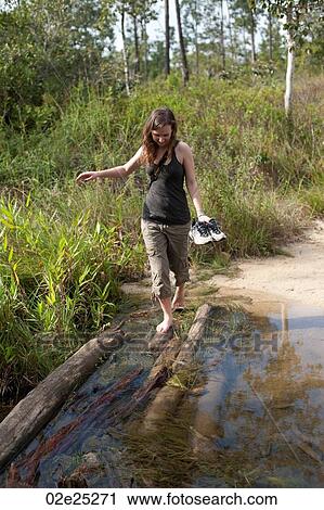 Mountain Pine Ridge Reserve, View Large Photo Image Stock Image - Mountain Pine Ridge Reserve,. Fotosearch