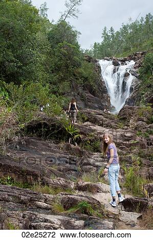 Mountain Pine Ridge Reserve, View Large Photo Image Stock Image - Mountain Pine Ridge Reserve,. Fotosearch