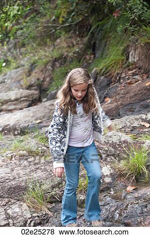 Mountain Pine Ridge Reserve, View Large Photo Image Stock Photo - Mountain Pine Ridge Reserve,. Fotosearch