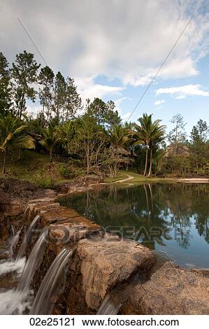 Mountain Pine Ridge Reserve, Waterfall View Large Photo Image Stock Image - Mountain Pine Ridge Reserve, Waterfall. Fotosearch