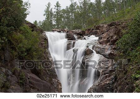 Mountain Pine Ridge Reserve, Waterfall View Large Photo Image Stock Image - Mountain Pine Ridge Reserve, Waterfall. Fotosearch