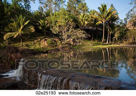 Stock Image - Mountain Pine Ridge Reserve, Waterfall. Fotosearch