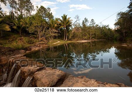Mountain Pine Ridge Reserve, Waterfall View Large Photo Image Stock Photo - Mountain Pine Ridge Reserve, Waterfall. Fotosearch