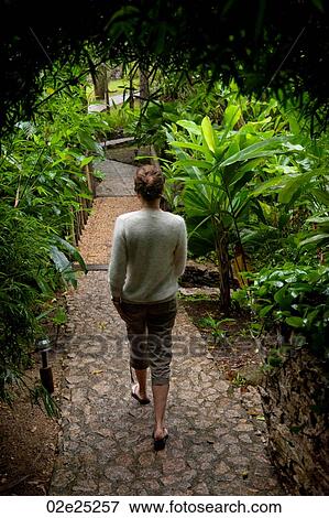 Mountain Pine Ridge Reserve, Woman Walking Down Path View Large Photo Image Stock Photo - Mountain Pine Ridge Reserve, Woman Walking Down Path. Fotosearch