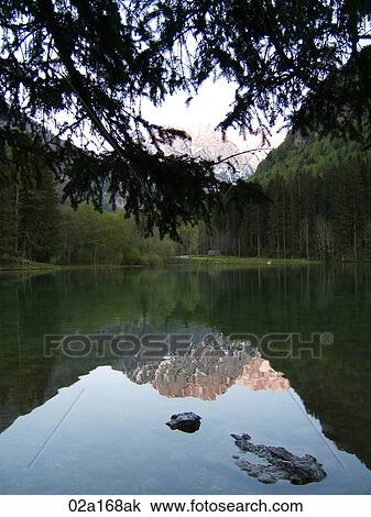 Mountaintop reflected in forest lake View Large Photo Image Stock Image - Mountaintop reflected in forest lake. Fotosearch