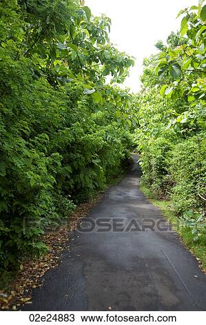 Stock Image - Narrow pathway in Bali. Fotosearch