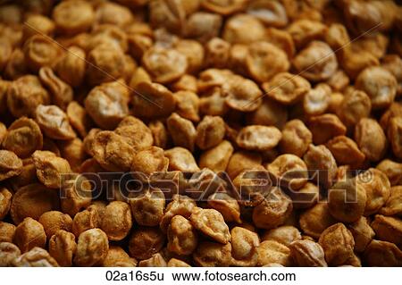 Nuts View Large Photo Image Stock Photograph - Nuts. Fotosearch