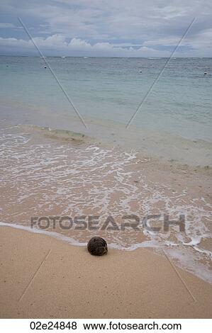 Ocean and beach in Bali View Large Photo Image Stock Photo - Ocean and beach in Bali. Fotosearch
