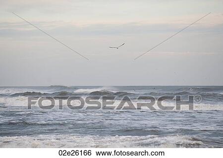 Stock Photograph - Ocean waves along Hampton coastline. Fotosearch