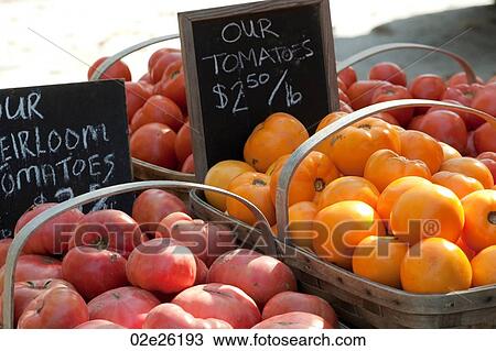 Outdoor market in the Hamptons View Large Photo Image Stock Image - Outdoor market in the Hamptons. Fotosearch