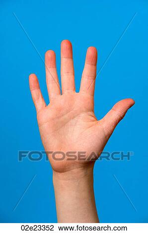 Palm of outstretched hand on blue background. View Large Photo Image Stock Image - Palm of outstretched hand on blue background.. Fotosearch