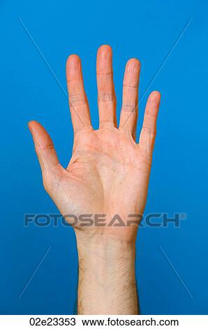 Palm of outstretched hand on blue background. View Large Photo Image Stock Image - Palm of outstretched hand on blue background.. Fotosearch