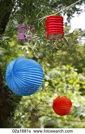 Paper lanterns hanging from a tree View Large Photo Image Stock Photograph - Paper lanterns hanging from a tree. Fotosearch