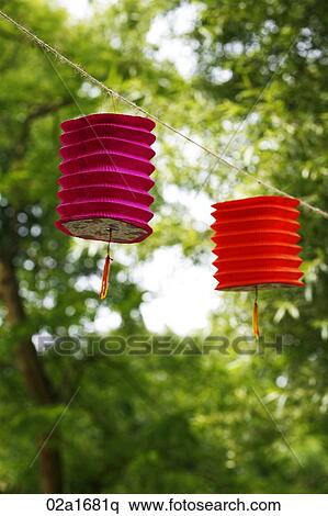 Stock Photography - Paper lanterns hanging from a tree. Fotosearch