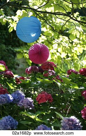Stock Photography - Paper lanterns hanging from a tree. Fotosearch