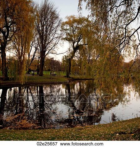 Park in Boston, Massachusetts, USA View Large Photo Image Stock Photo - Park in Boston, Massachusetts, USA. Fotosearch