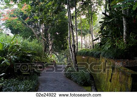 Stock Image - Pathway surrounded with vegetation in Bali. Fotosearch