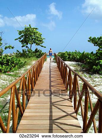 Pathway to the beach. View Large Photo Image Picture - Pathway to the beach.. Fotosearch