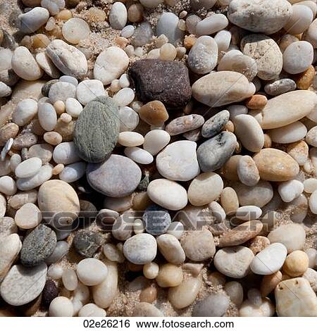 Pebbles on the Hampton shoreline View Large Photo Image Stock Photograph - Pebbles on the Hampton shoreline. Fotosearch