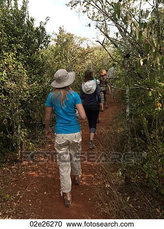 People hiking in Kenya Africa View Large Photo Image Stock Image - People hiking in Kenya Africa. Fotosearch