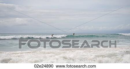 People surfing in ocean along coast of Bali View Large Photo Image Stock Image - People surfing in ocean along coast of Bali. Fotosearch