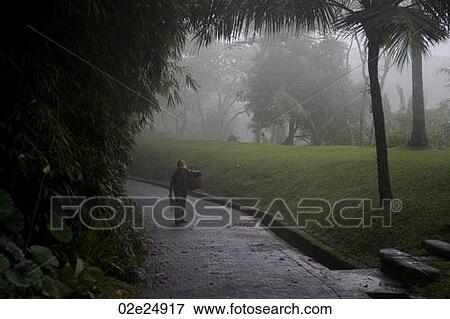 Stock Photo - Person walking along pathway in Bali. Fotosearch
