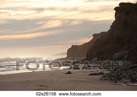Stock Photograph - Person walking with their dog along Hampton shoreline. Fotosearch