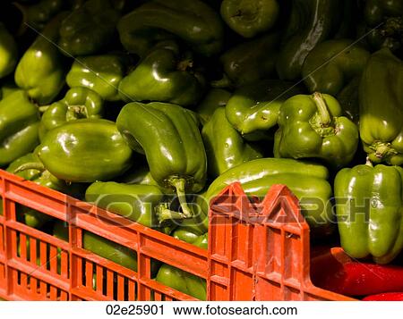 Stock Image - Pile of green peppers. Fotosearch
