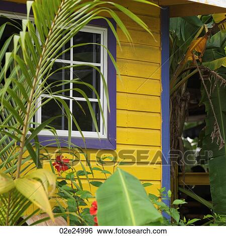 Placencia, Building View Large Photo Image Stock Photograph - Placencia, Building. Fotosearch