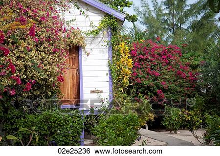 Placencia, Building with Plants View Large Photo Image Stock Photograph - Placencia, Building with Plants. Fotosearch