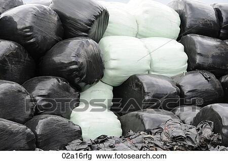 Plastic wrapped hay bales in two colours View Large Photo Image Stock Image - Plastic wrapped hay bales in two colours. Fotosearch