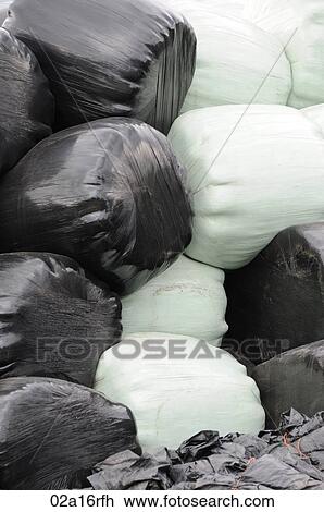 Plastic wrapped hay bales in two colours View Large Photo Image Stock Image - Plastic wrapped hay bales in two colours. Fotosearch