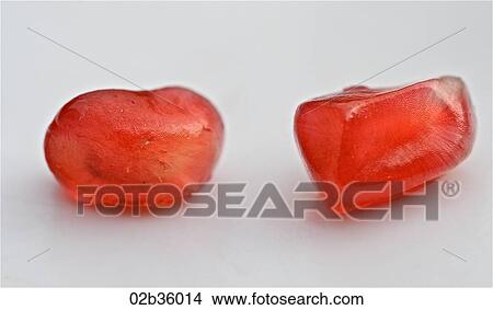 Pomegranate Seeds View Large Photo Image Picture - Pomegranate Seeds. Fotosearch