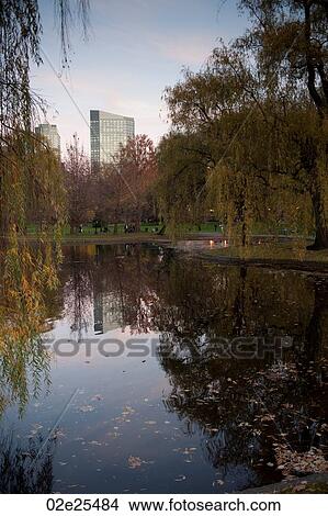 Picture - Pond in Boston, Massachusetts, USA. Fotosearch