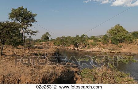 Pond in Kenya Africa View Large Photo Image Stock Image - Pond in Kenya Africa. Fotosearch