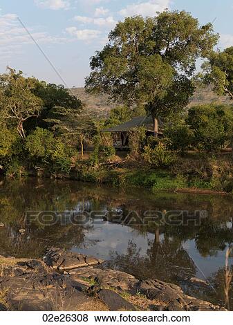 Pond in Kenya Africa View Large Photo Image Stock Photo - Pond in Kenya Africa. Fotosearch