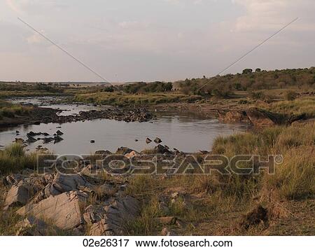 Pond in Kenya Africa View Large Photo Image Stock Photo - Pond in Kenya Africa. Fotosearch