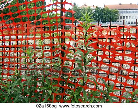 Red fence with green plants View Large Photo Image Stock Image - Red fence with green plants. Fotosearch