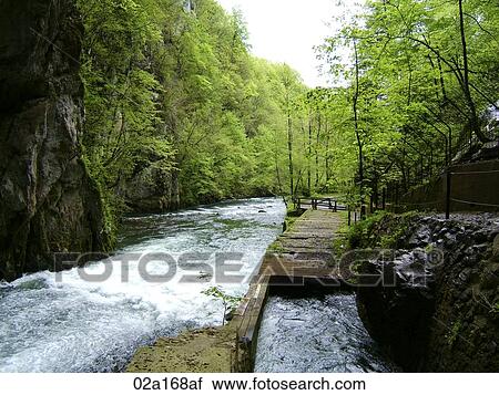 River flowing through the green forest View Large Photo Image Stock Image - River flowing through the green forest. Fotosearch