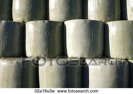Rolls of hay wrapped in plastic View Large Photo Image Stock Photo - Rolls of hay wrapped in plastic. Fotosearch
