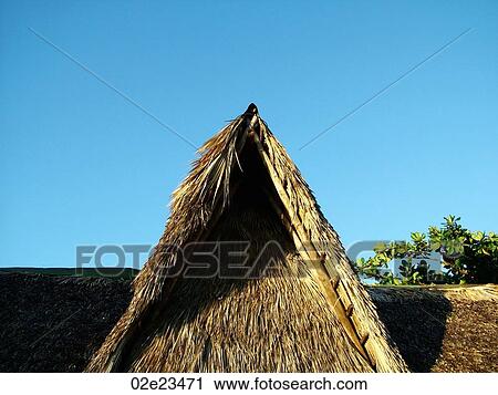 Roof of a tropical hut. View Large Photo Image Stock Image - Roof of a tropical hut.. Fotosearch