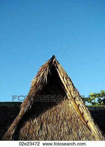 Roof of a tropical hut. View Large Photo Image Stock Image - Roof of a tropical hut.. Fotosearch