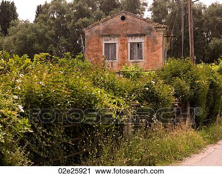 Rural home in Corfu View Large Photo Image Stock Image - Rural home in Corfu. Fotosearch
