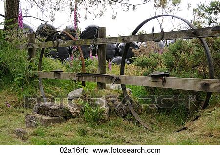 Rural view View Large Photo Image Stock Image - Rural view. Fotosearch