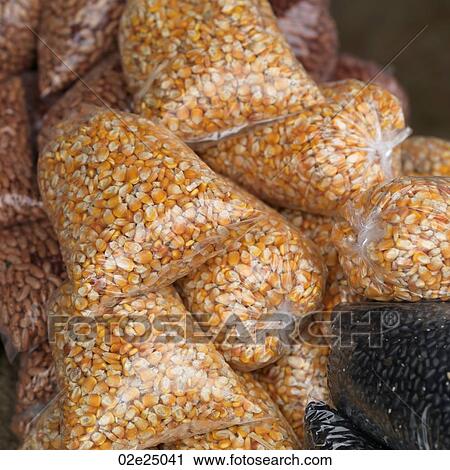 San Ignacio, Bags of Beans View Large Photo Image Stock Image - San Ignacio, Bags of Beans. Fotosearch